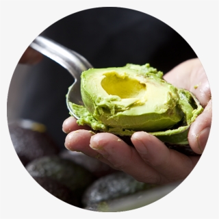 Guacamole #6872602