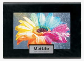 Corporate Gift Pens,corporate Office Holiday Gifts #6873594