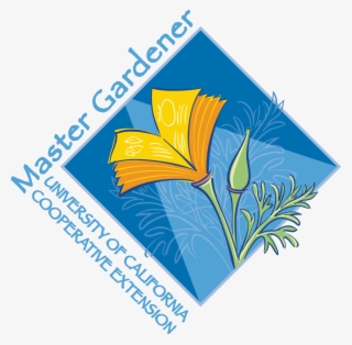 This Potentially Catastrophic Natural Phenomenon Seems #6873647