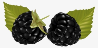 Fruits And Veggies, Clip Art, Journal, Illustrations, #6875382