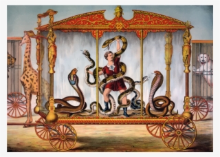 Medium Image #6876058