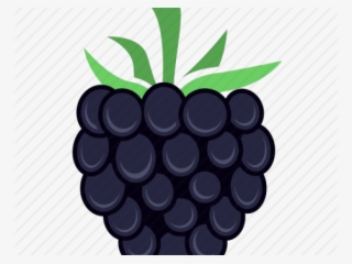Blackberry Fruit Png #6876294