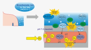 Co2-5 #6879382 Co2-5 #6879382