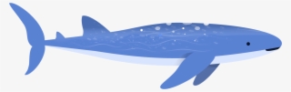 Shark #6879616