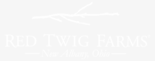 Twig Png #6879719 Twig Png #6879719