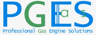 Gas Engines Professional Gas Engine Solutions Gmbh #6879900
