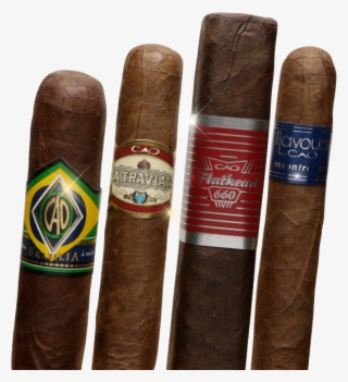 Be Sure To Check Our Blog And Follow And Like Us On #6884876