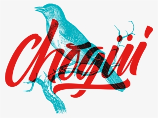 Chogüí Cigars #6885213 Chogüí Cigars #6885213