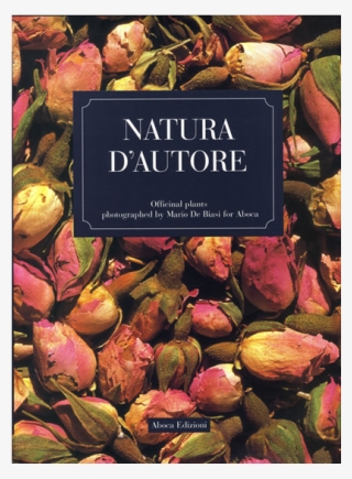 Picture Of Natura D'autore #6885580