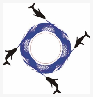 Four Whales Insonify An Annular Bubble Net Having The #6886301