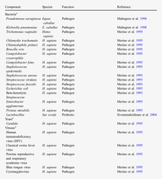 Seminal Fluid Components And Their Function In Mammals #6888144
