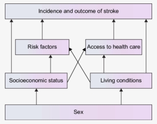 Socioeconomic Mechanism Underlying Sex Differences #6888911