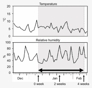 The Double-sided Horizontal Arrow Indicates The Term #6890291