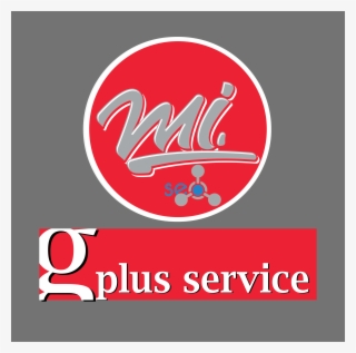 Add 100 Google Plus Vote Or Circle Or Follower #6890979