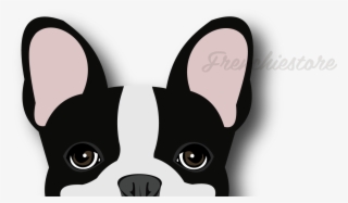 Car Vinyl Die Cut Decal W/ Peeking Black Pied Frenchie #6891683