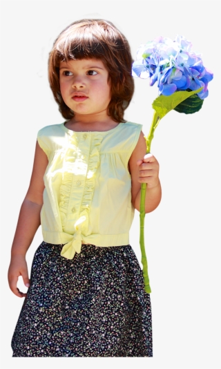 Summer Cotton Collection #6893345