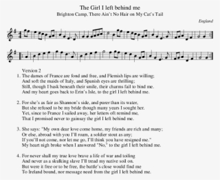 Listen To Brighton Camp, There Ain't No Hair On My #6894053