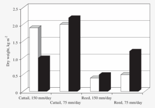 Comparison Between Biomass Yields For Cattail And Reed #6894205