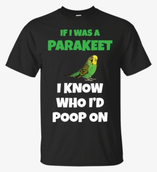 Parakeets #6894727