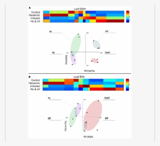 Principal Component Analysis And Cluster Plots Comparing #6894926