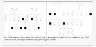 Two Family Pedigrees From Southern Ethiopia #6895096