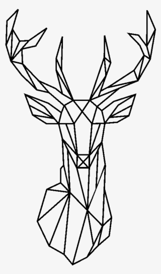 Beg M Arslan Arslanbgmm On Pinterest #6899651