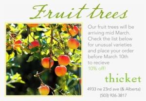 We Are Doing Our Spring Order For Fruit Trees - Forging Freedom: Black Women And The Pursuit #690090