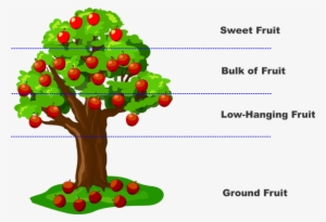 Apple Tree - Lean Low Hanging Fruit #690571