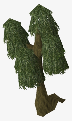 Image Willow Tree Old Png Runescape Wiki Fandom Powered - Runescape Willow Tree #690572