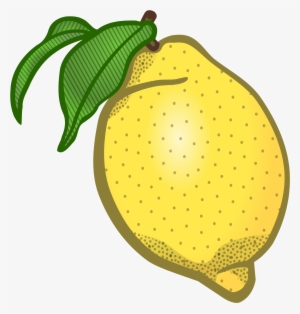 Coloured Icons Png - Clipart Lemon #690652