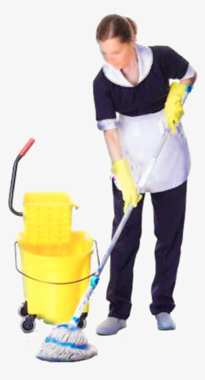 Medical/dental Office Cleaning - Señora Oficios Varios #690784