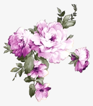 Flower Prints - Common Peony #691029