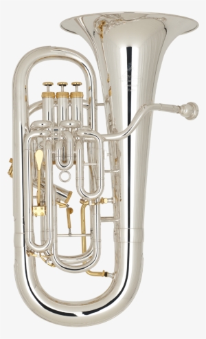 Ambassador Edition - Miraphone M5050 #691981