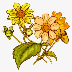 Wildflowers Drawing The Best 2 - Yellow Flower Drawing Png #693214