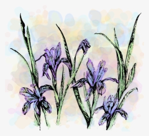 Wildflower Show -1 #693558