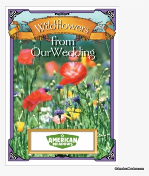 Wildflowers From Our Wedding Seed Packet - Packet Of Wildflower Seeds #694016