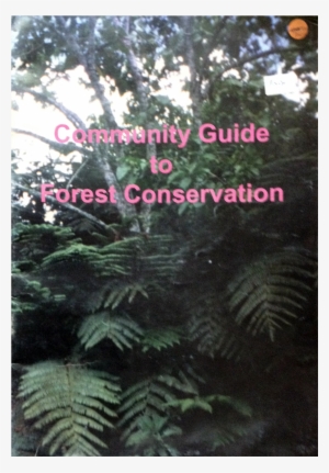 Community Guide To Forest Conservation - Ostrich Fern #694191
