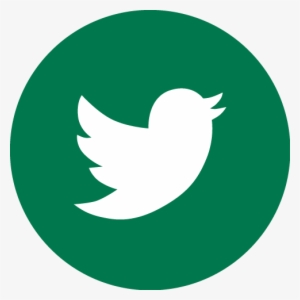 Twitter Green - Rainforest Qa Logo #694309