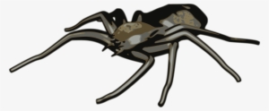Spider Tarantula Western Black Widow Computer Icons - Arachne Clipart #694651