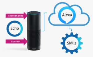 For Example, The Amazon Echo Pictured Here Contains - Alexa Skills #695390