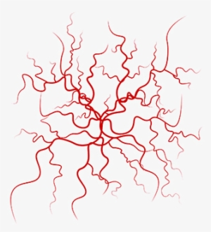 Fortunately, There Are Many Treatments That Can Detect - Veins Vector #695889