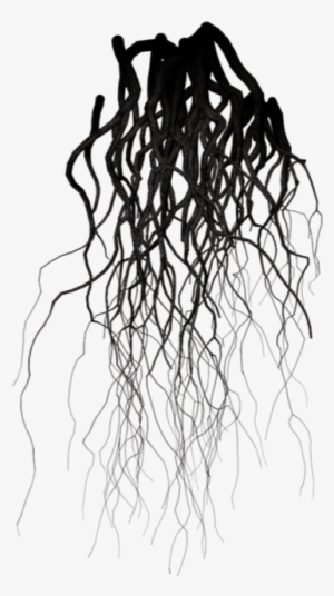 Drawing Veins Dark - Veins Black And White #695968