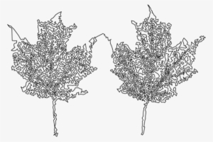 You Can See The Veins A Little Bit, Yet I'm Not Really - Sketch #696042