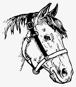 Collection Of Free Abs Horse Download On - Clipart Horse Head #696551