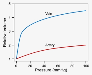 The Volume-pressure Relationship For An Artery And - Diagram #696626