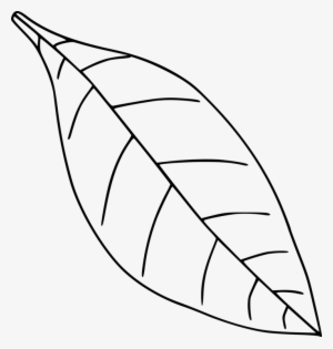 Jpg Freeuse Library Autumn Leaf Color Black And White - Leaf Drawing Transparent #696912