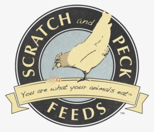 Sponsor - Elephant And Castle #697273