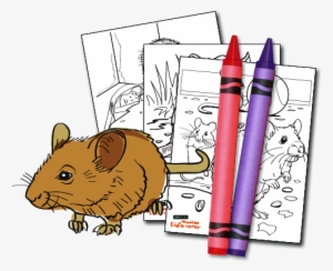 Download Activity Kit - Rat #697276