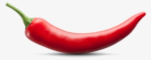 Chili - Red Mirchi #697754
