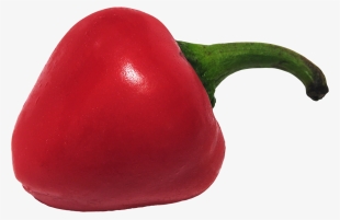 Free Png Chili Pepper Png Images Transparent - Chili Pepper #697978